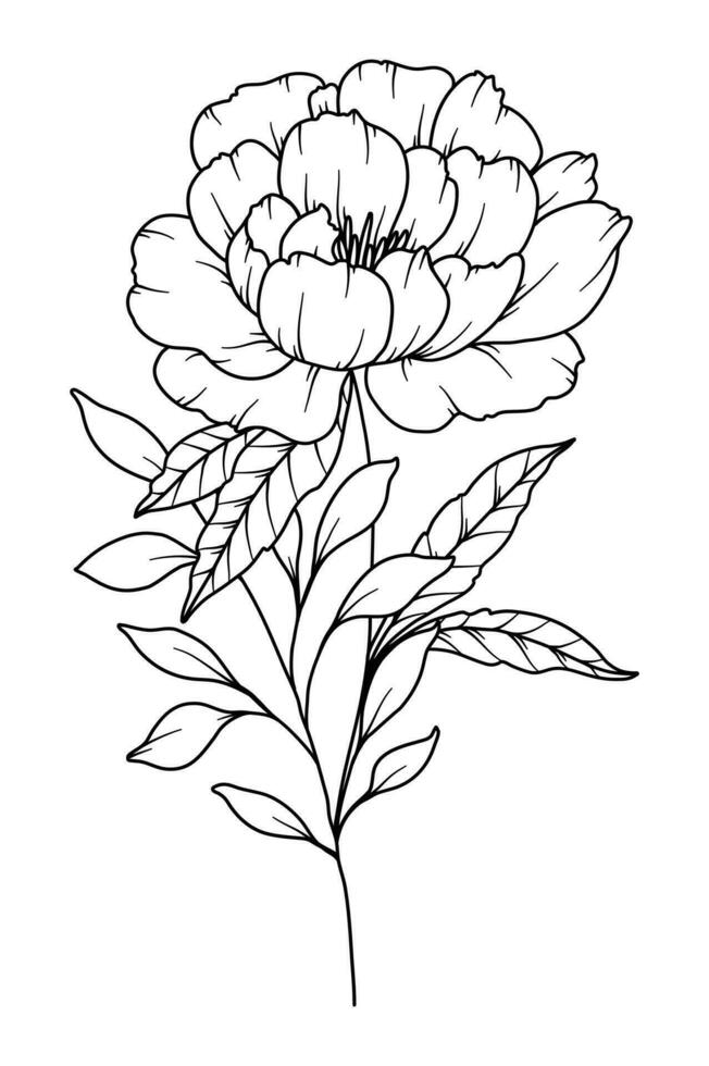 Peony Line Drawing. Black and white Floral Bouquets. Flower Coloring Page. Floral Line Art. Fine Line Peony illustration. Hand Drawn flowers. Botanical Coloring. Wedding invitation flowers vector