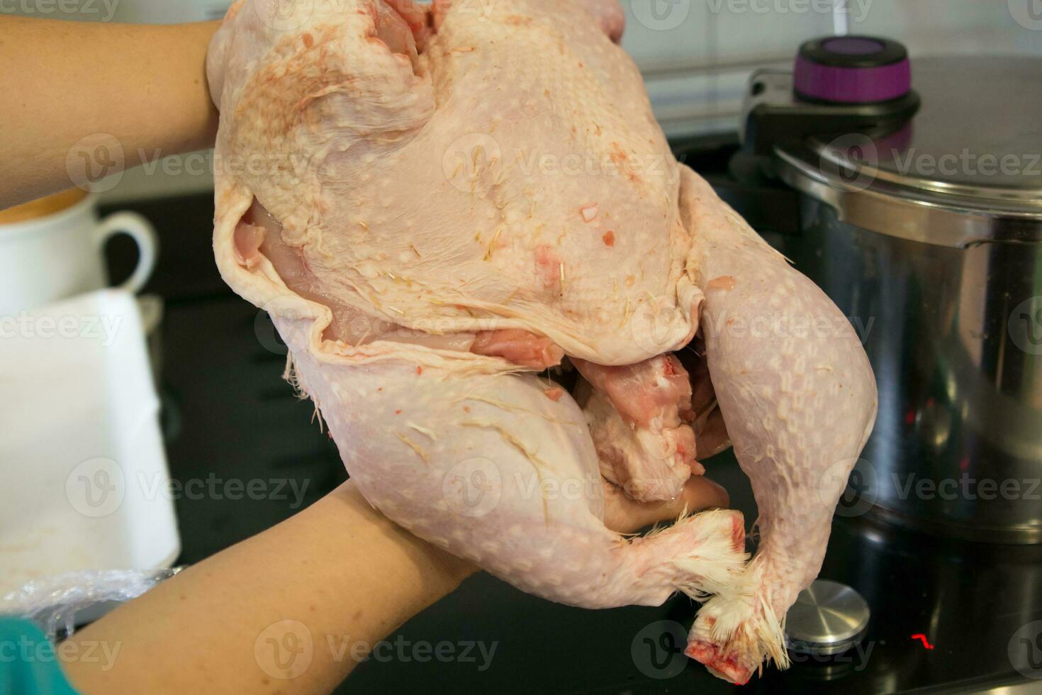 Raw thanksgiving turkey before filling photo
