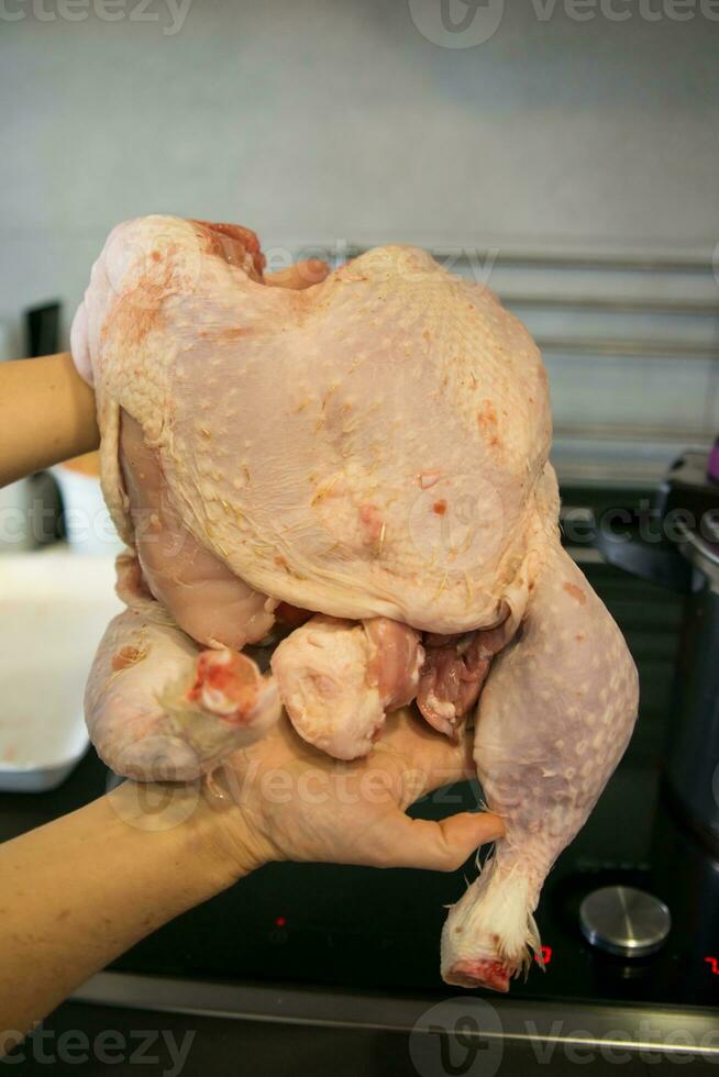 Raw thanksgiving turkey before filling photo