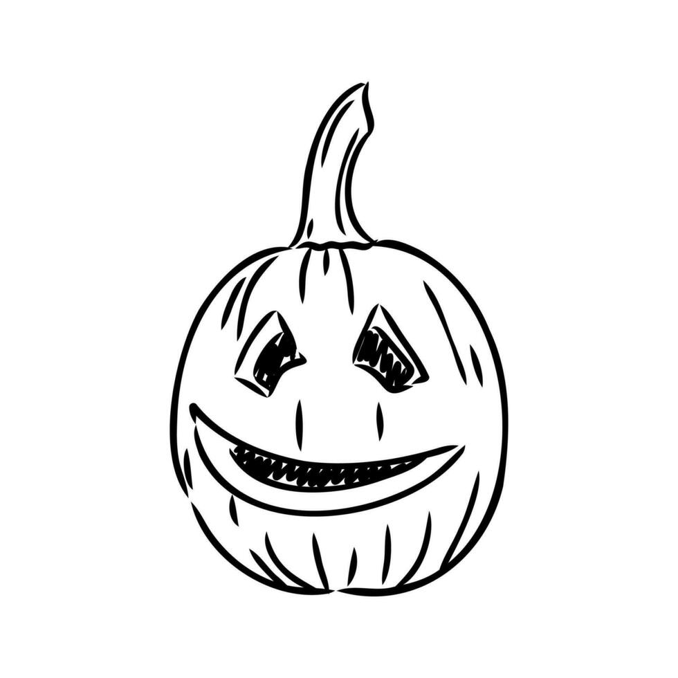 Halloween pumpkin vector sketch