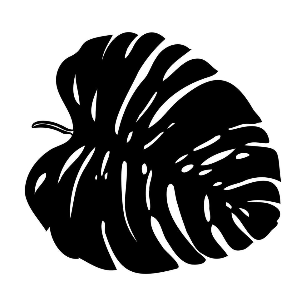 monstera leaf vector sketch