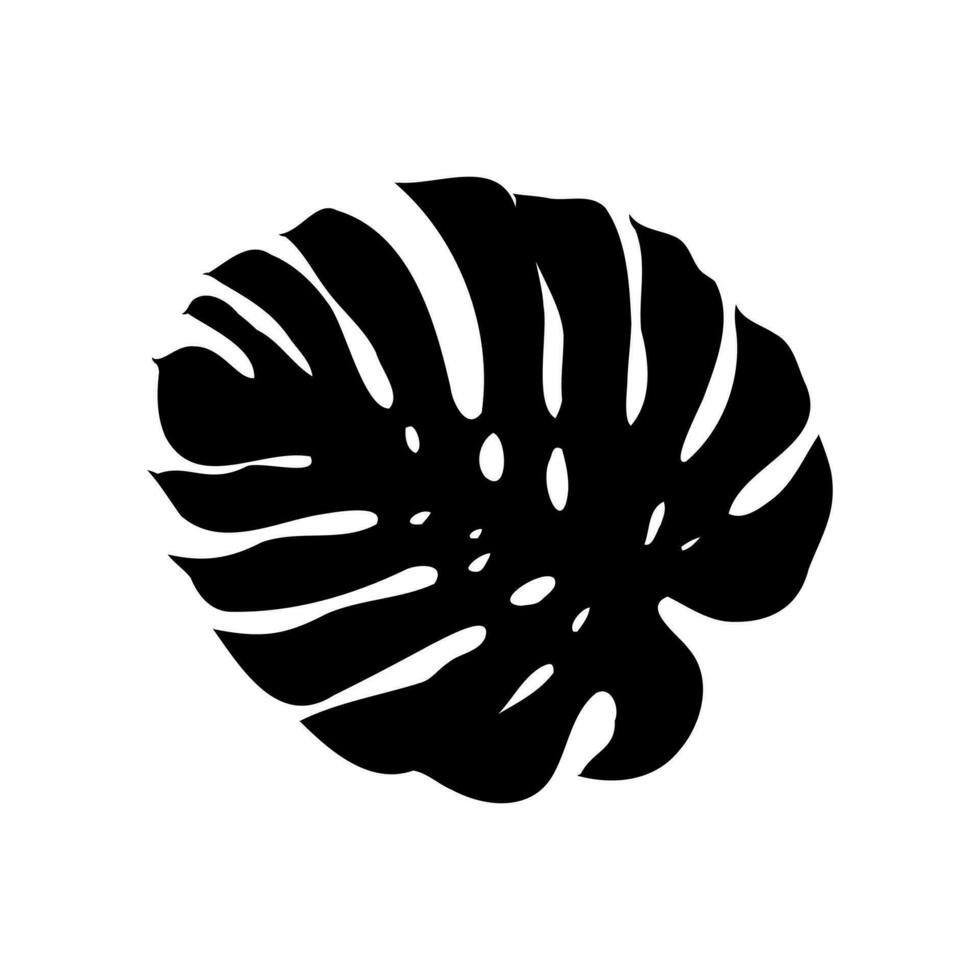 Monstera Leaf Vector Sketch 36379969 Vector Art At Vecteezy Monstera Leaf Vector Sketch 36379969 Vector Art At Vecteezy