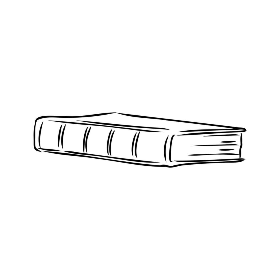 books vector sketch