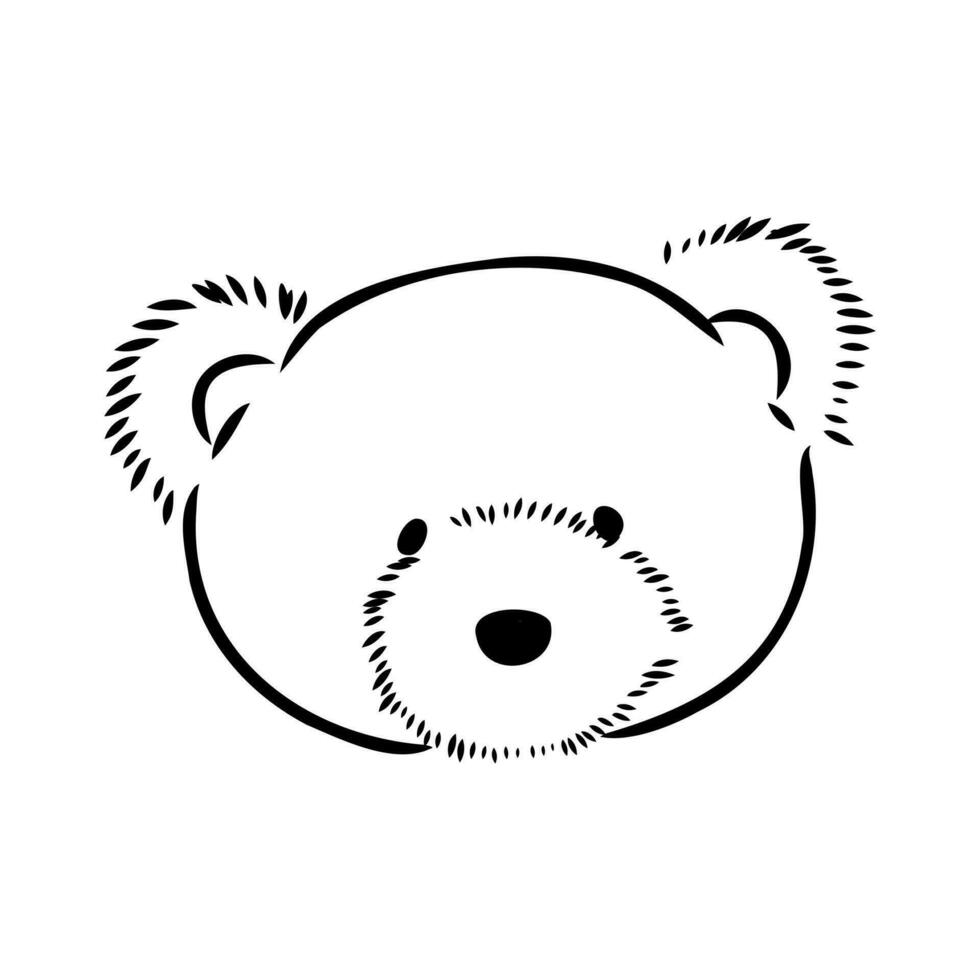 osito de peluche oso vector bosquejo