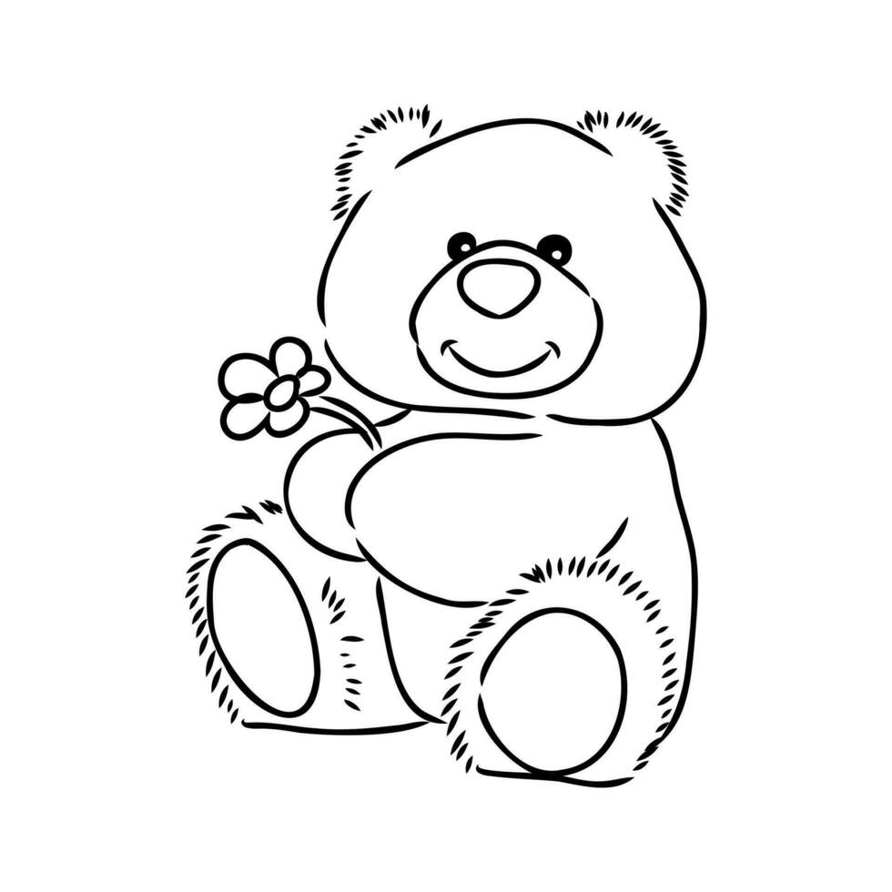 teddy bear vector sketch