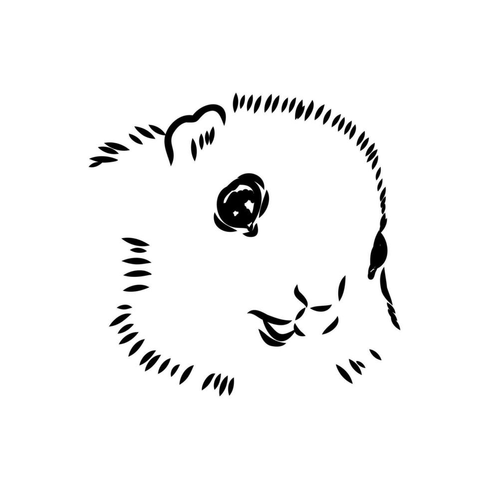 flying squirrel vector sketch