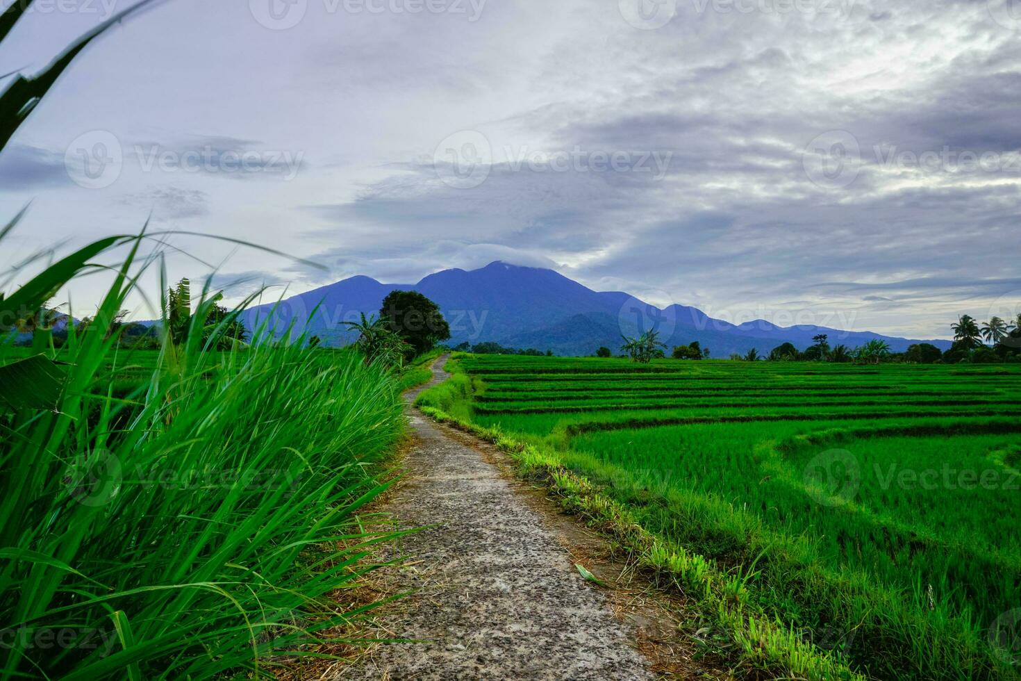 beautiful morning view from Indonesia of mountains and tropical forest photo