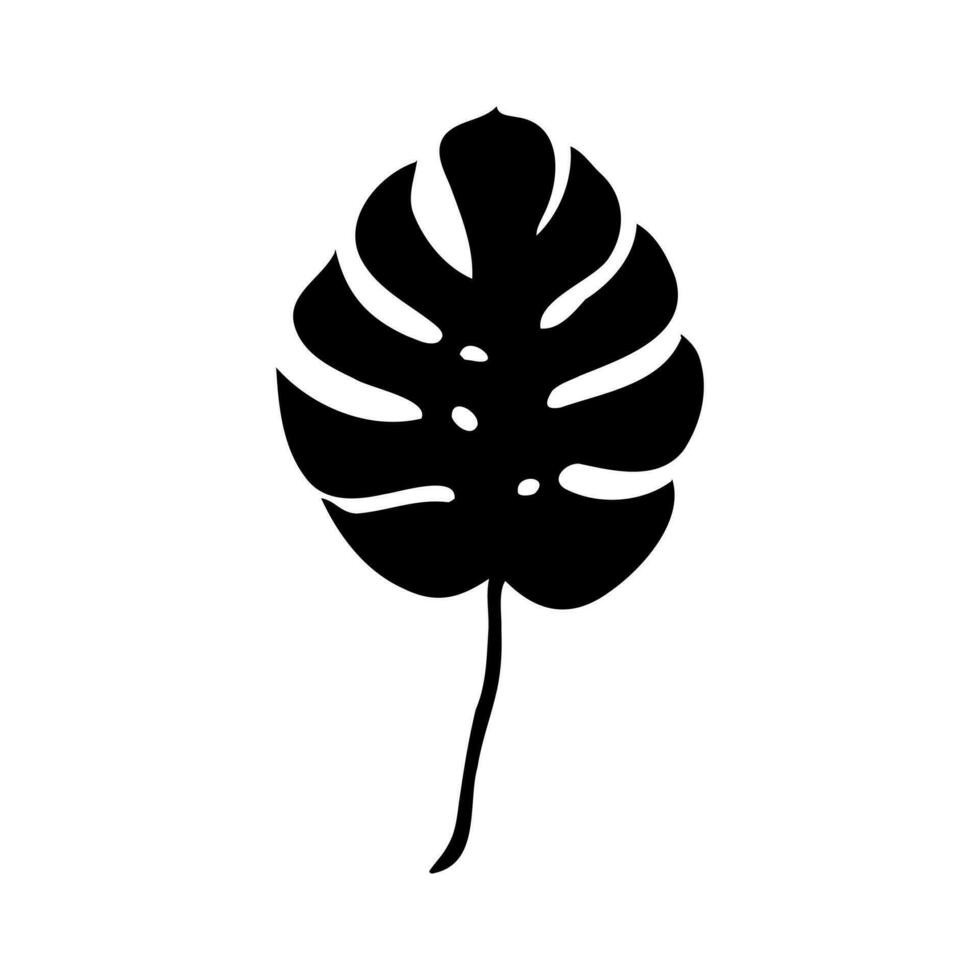 monstera leaf vector sketch