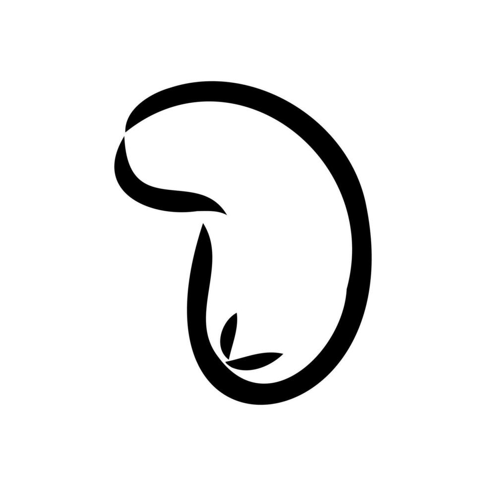 cashew nut vector sketch