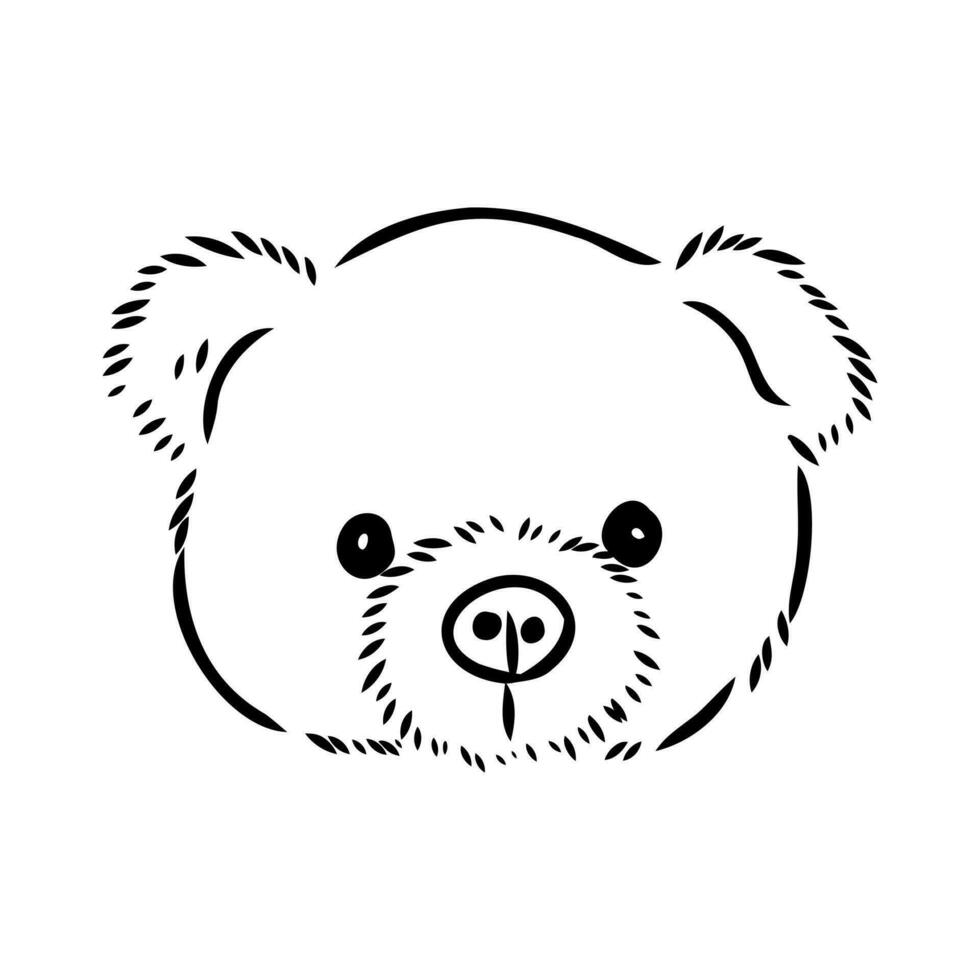 osito de peluche oso vector bosquejo