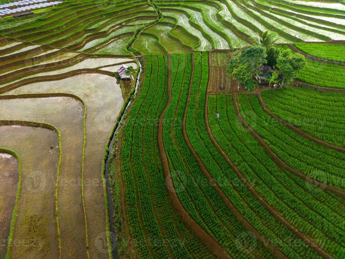 the beauty of the morning panorama with sunrise in indonesia village photo