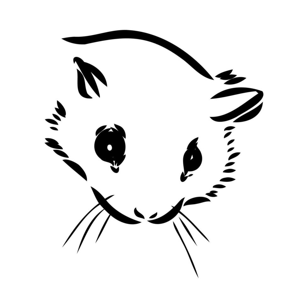 flying squirrel vector sketch