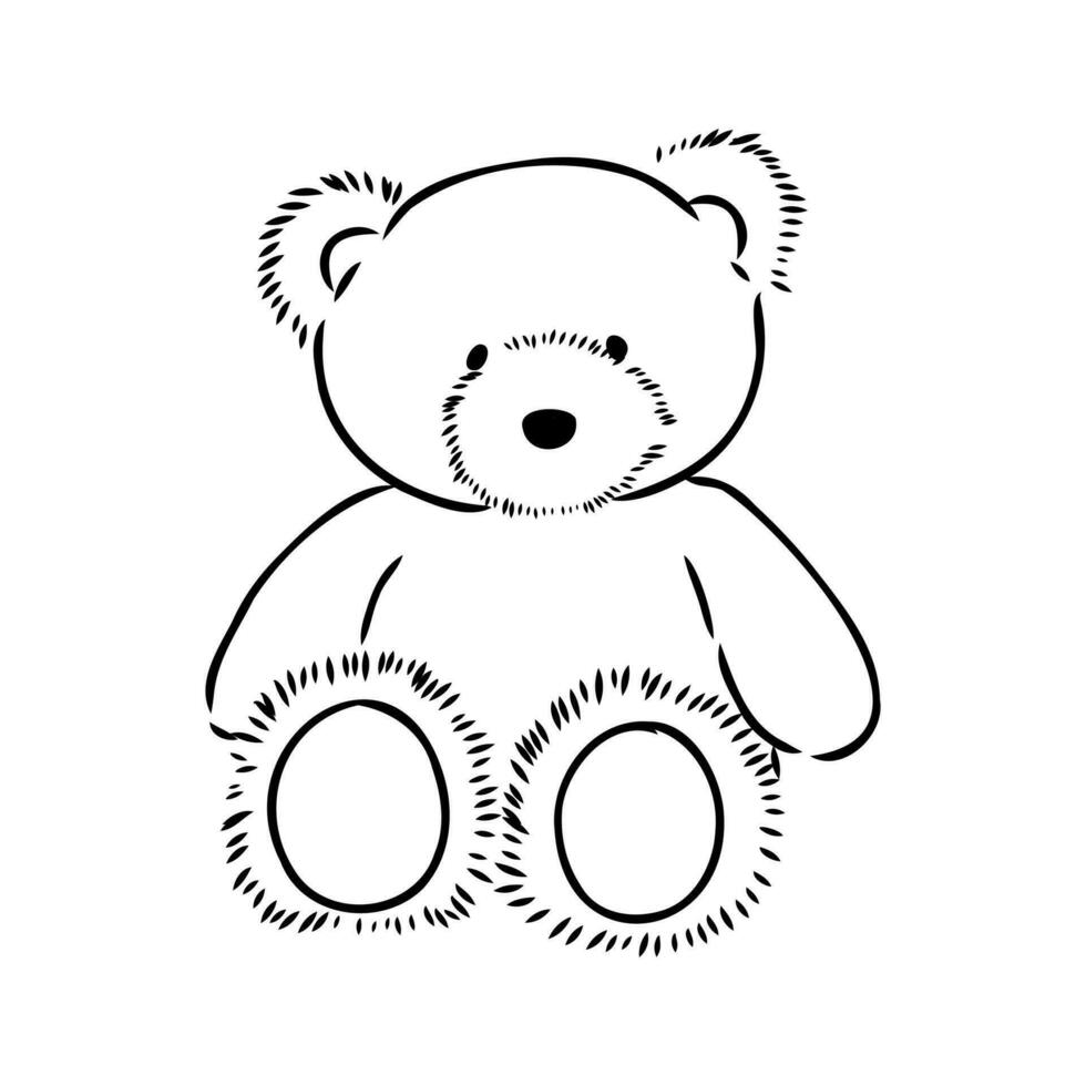 osito de peluche oso vector bosquejo