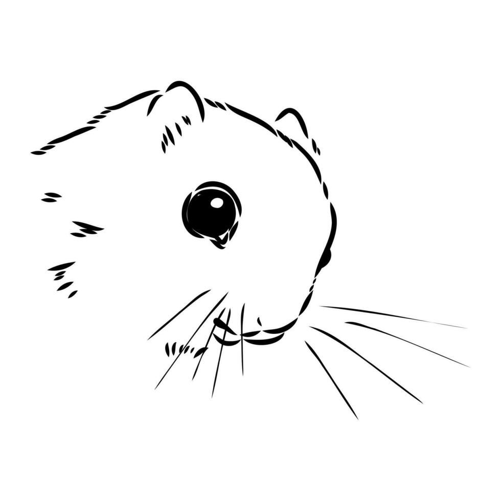 flying squirrel vector sketch