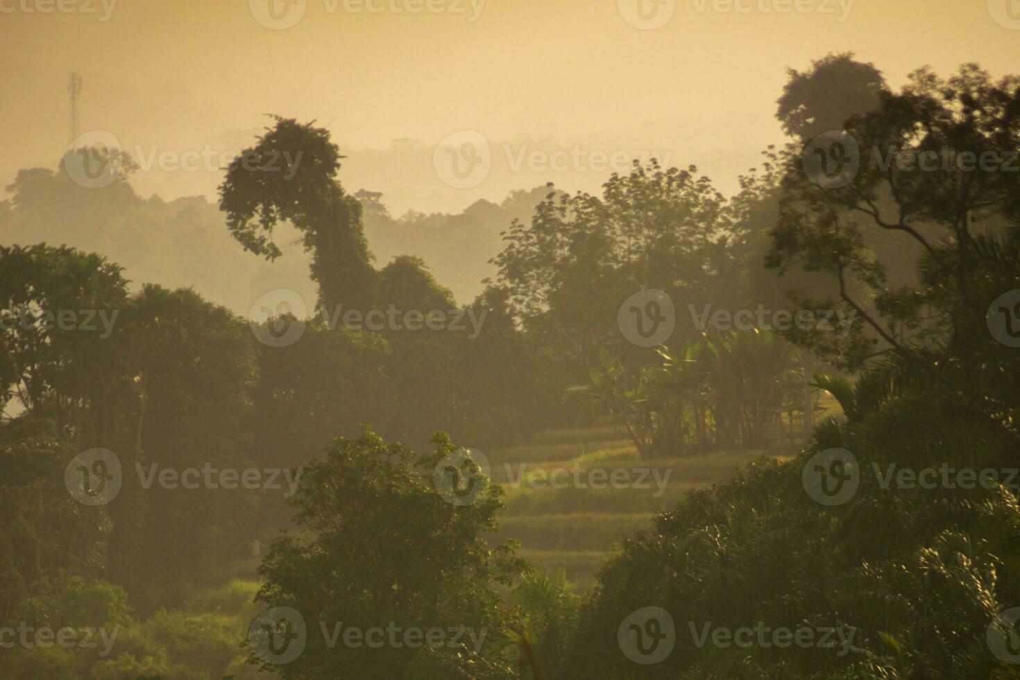 beautiful morning view from Indonesia of mountains and tropical forest photo