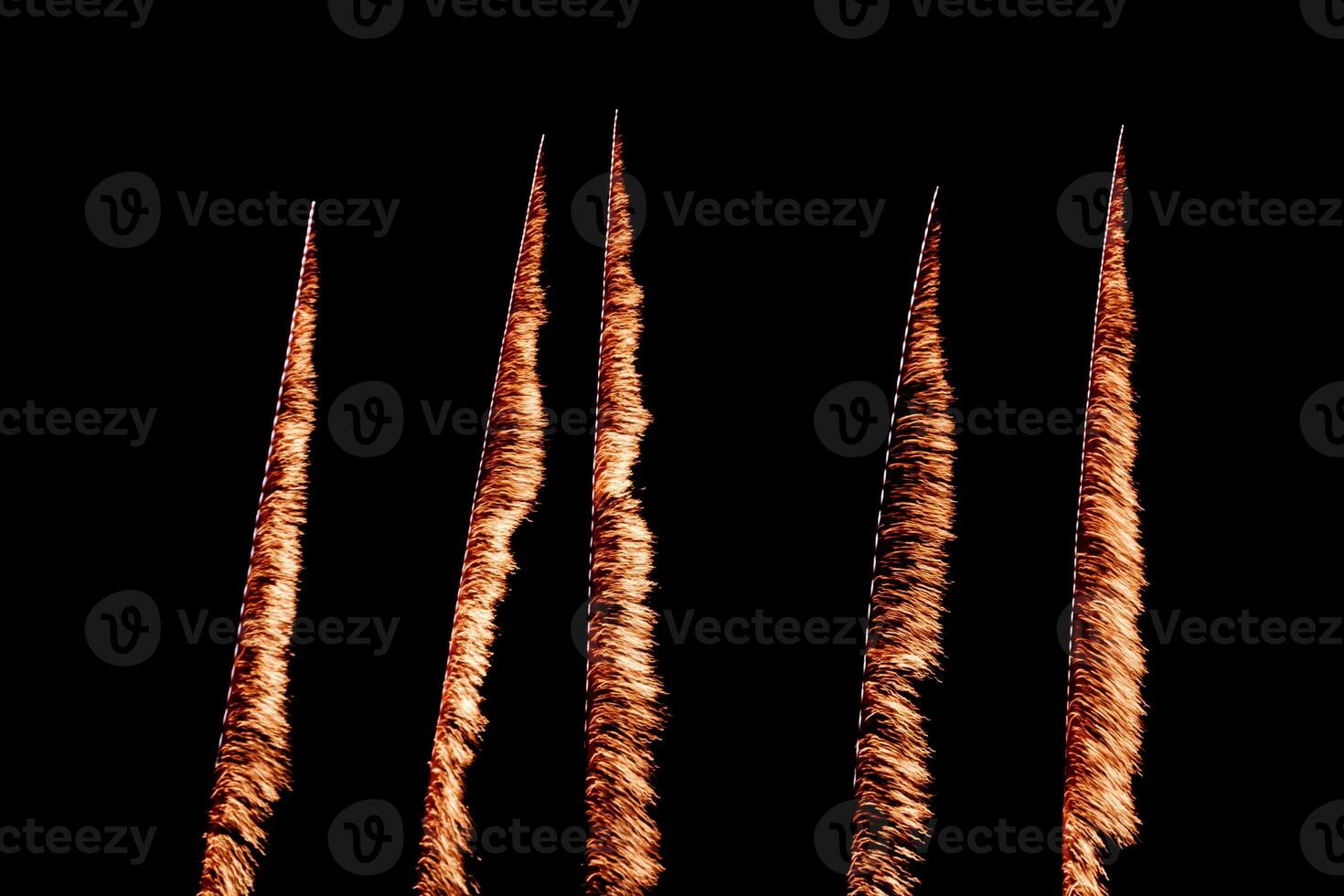 Five Firework Trails Illuminate Night photo