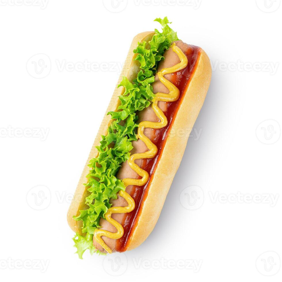 Homemade Hot Dog with mustard, ketchup, tomato and fresh salad leaves isolated on white background photo