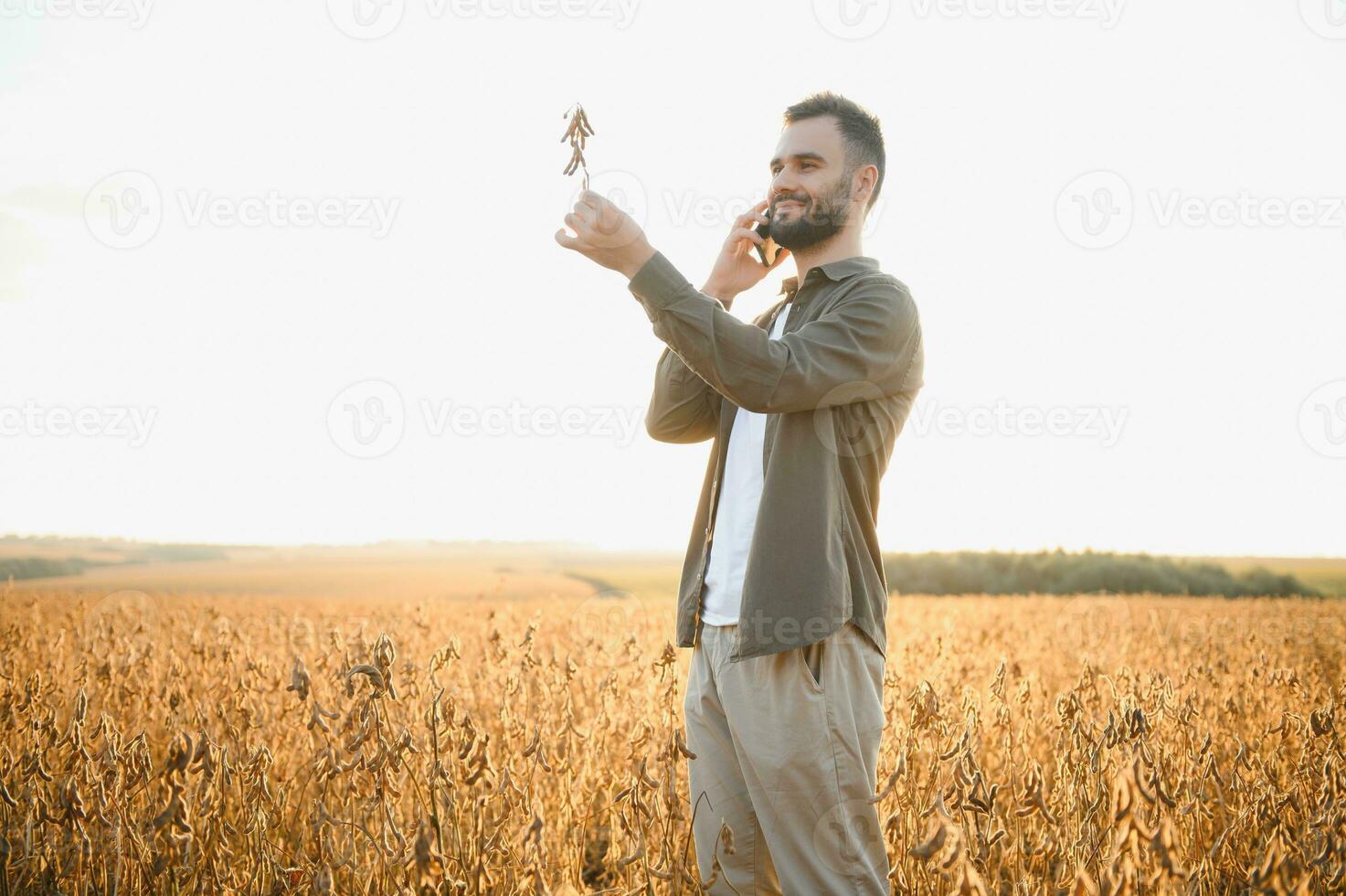Farmer agronomist on a soybean field. Agricultural industry. photo