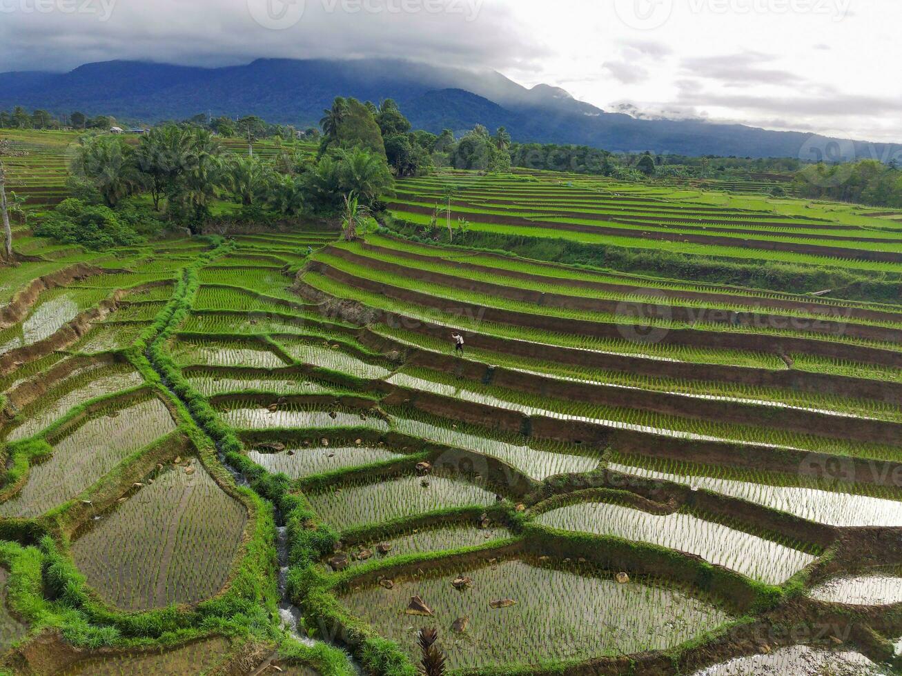 the beauty of the morning panorama with sunrise in indonesia village photo