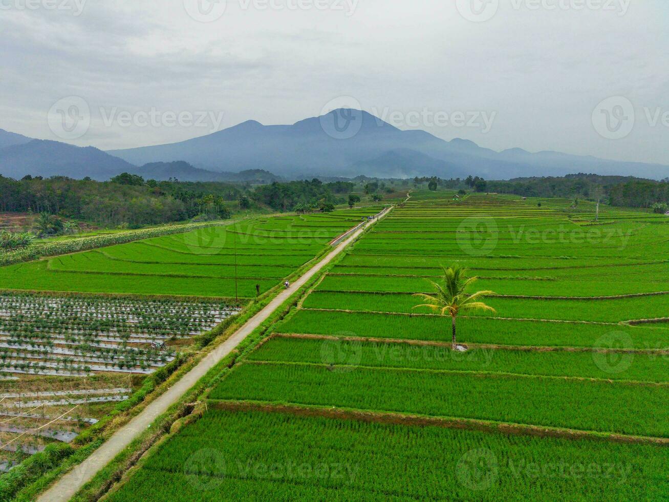 the beauty of the morning panorama with sunrise in indonesia village photo