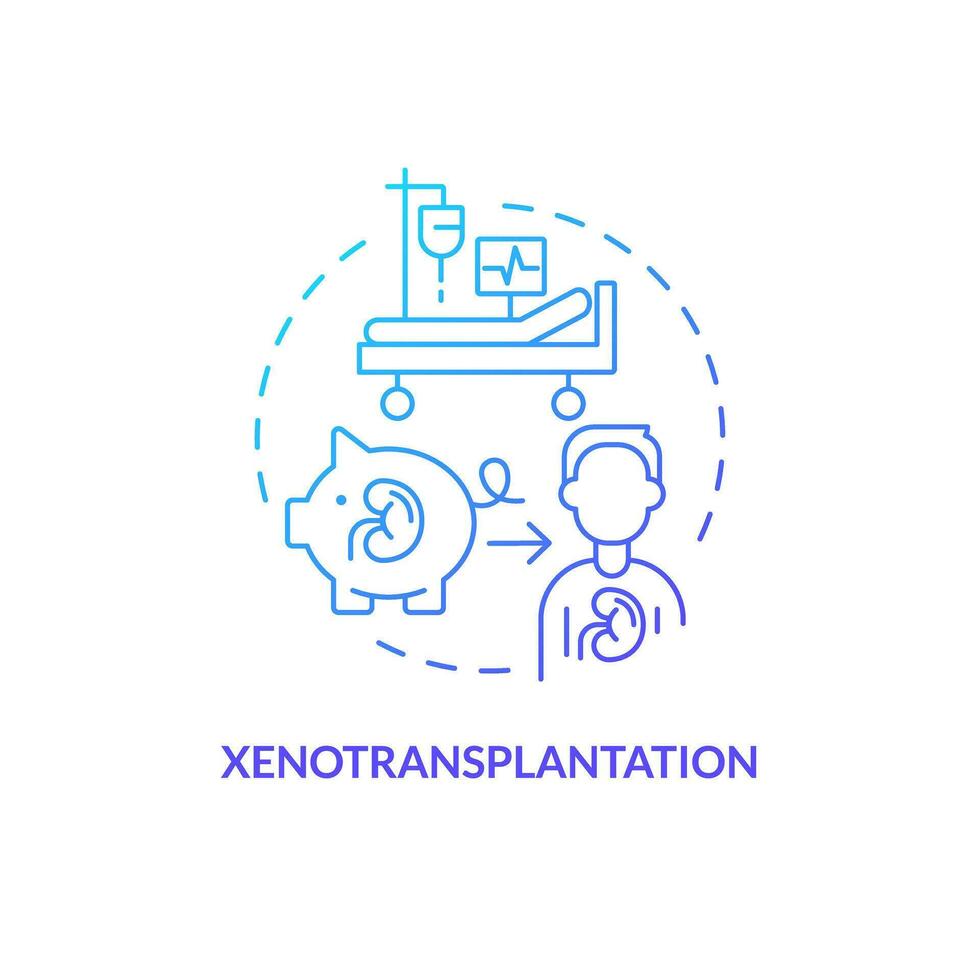 2D gradient xenotransplantation icon, simple isolated vector, thin line blue illustration representing cell therapy. vector