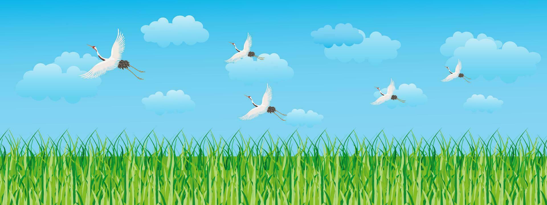 Landscape, green field, cloudy sky and white flying cranes. Seamless border, landscape background, illustration, vector