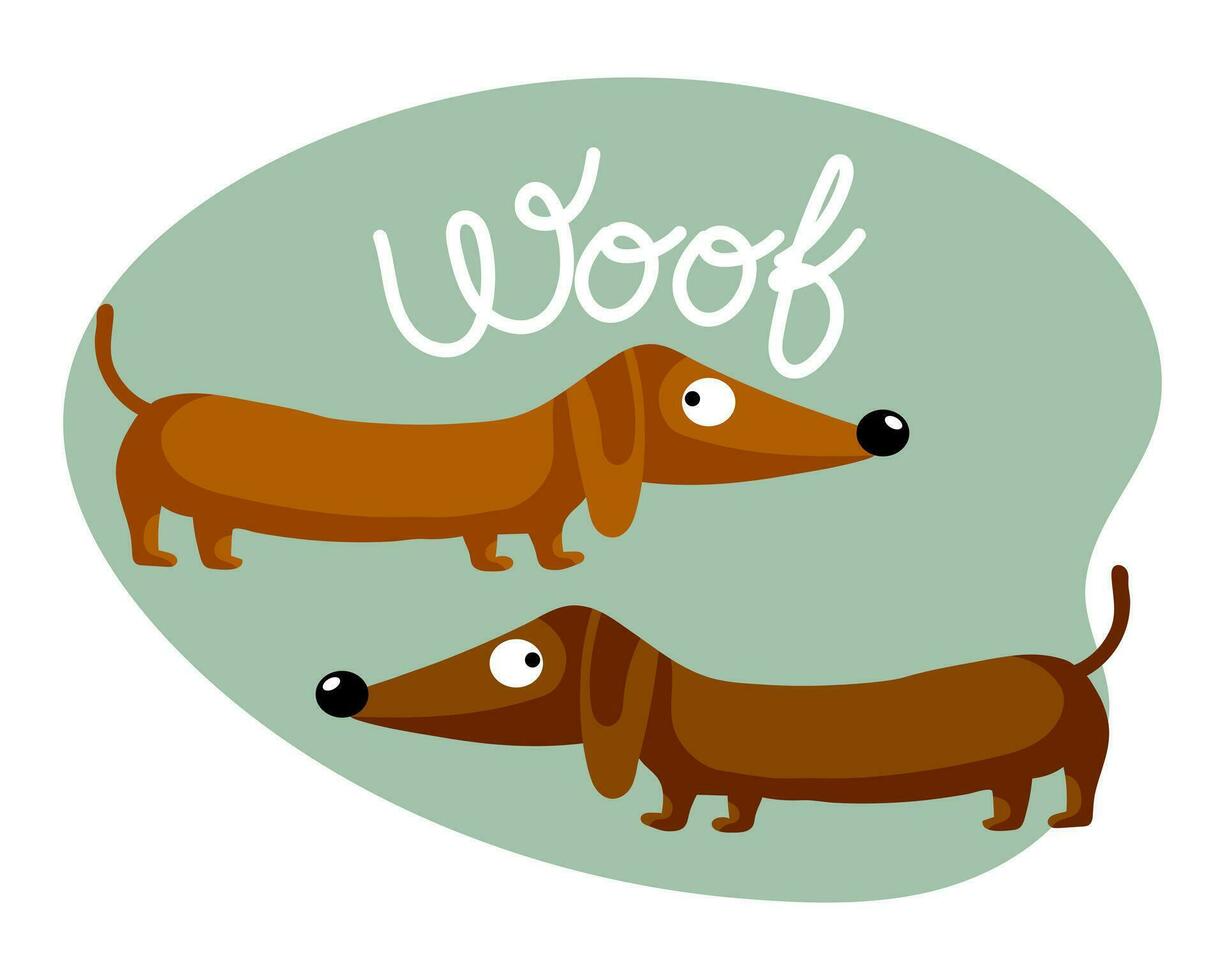 Cartoon funny dachshund dogs and the word Woof. Flat style illustration, childrens print, postcard, vector