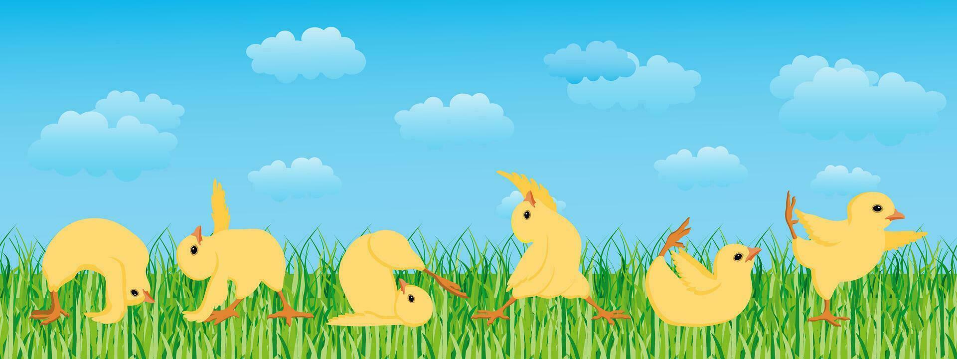 Cheerful chickens in a yoga pose on a spring landscape with sky and clouds. Children's card, illustration, vector. vector