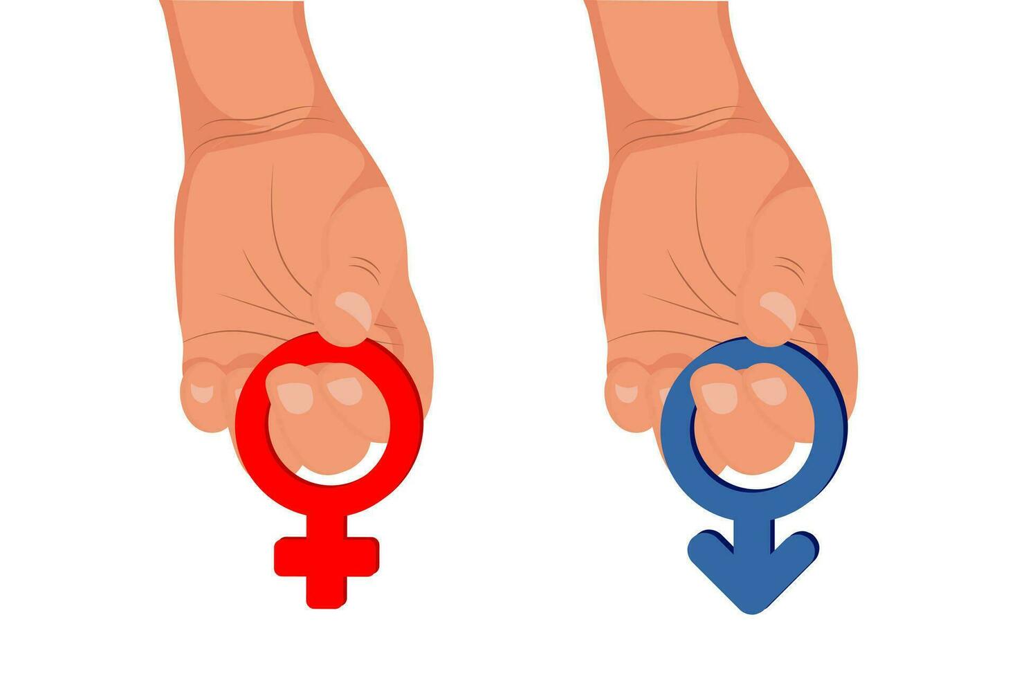 The hand holds the female and male symbols. Gender signs of woman and man in hand. Illustration, vector