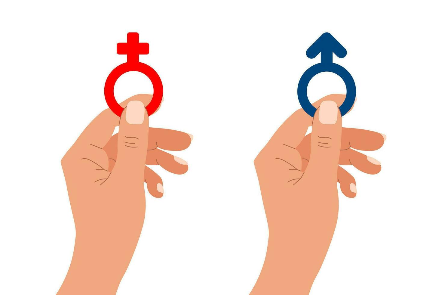 The hand holds the female and male symbols. Gender signs of woman and man in hand. Illustration, vector