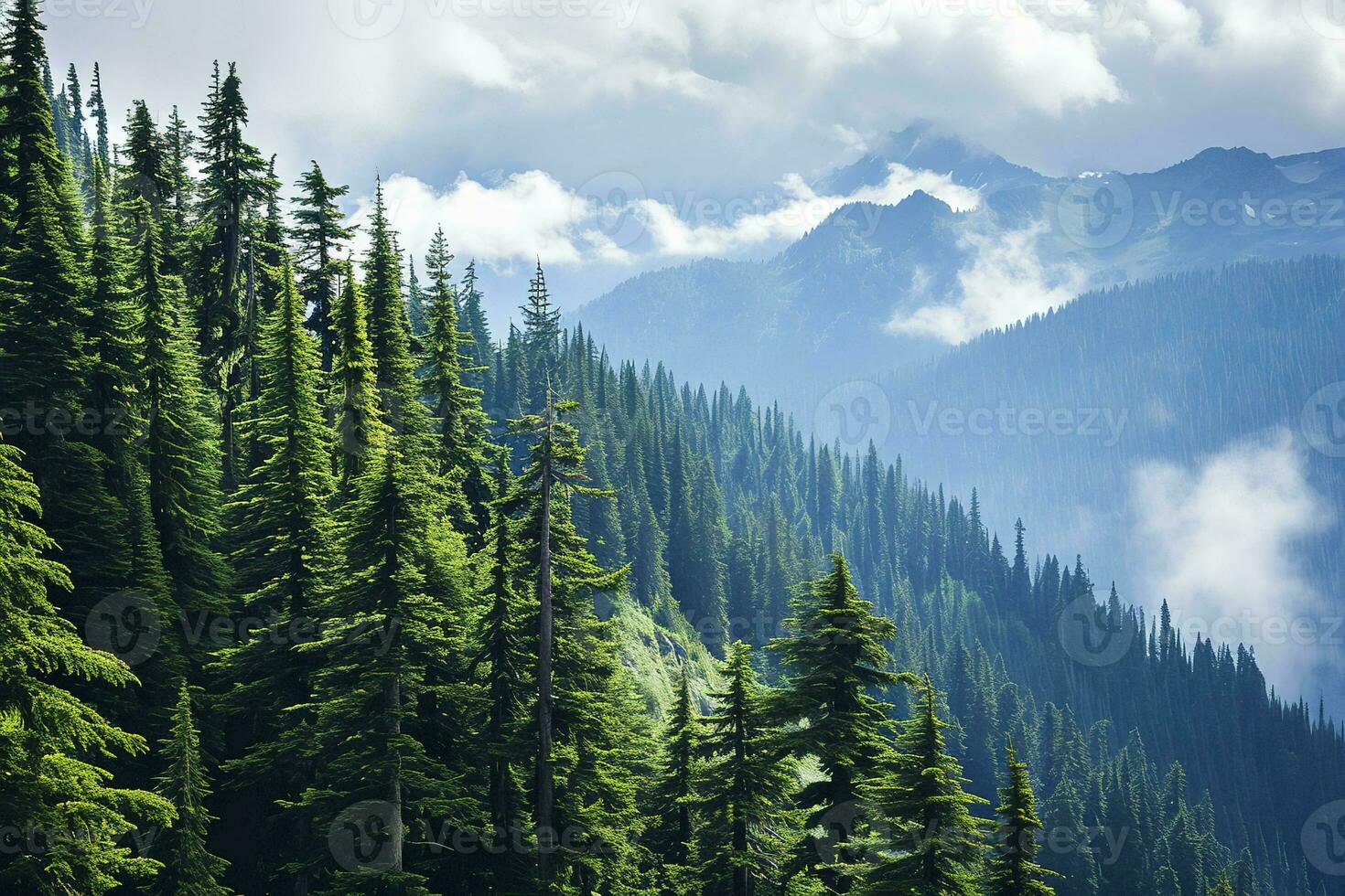 AI generated a breathtaking view of misty mountains surrounded by a dense, lush green forest under a partly cloudy sky. The atmosphere is serene with an air of tranquility and awe photo