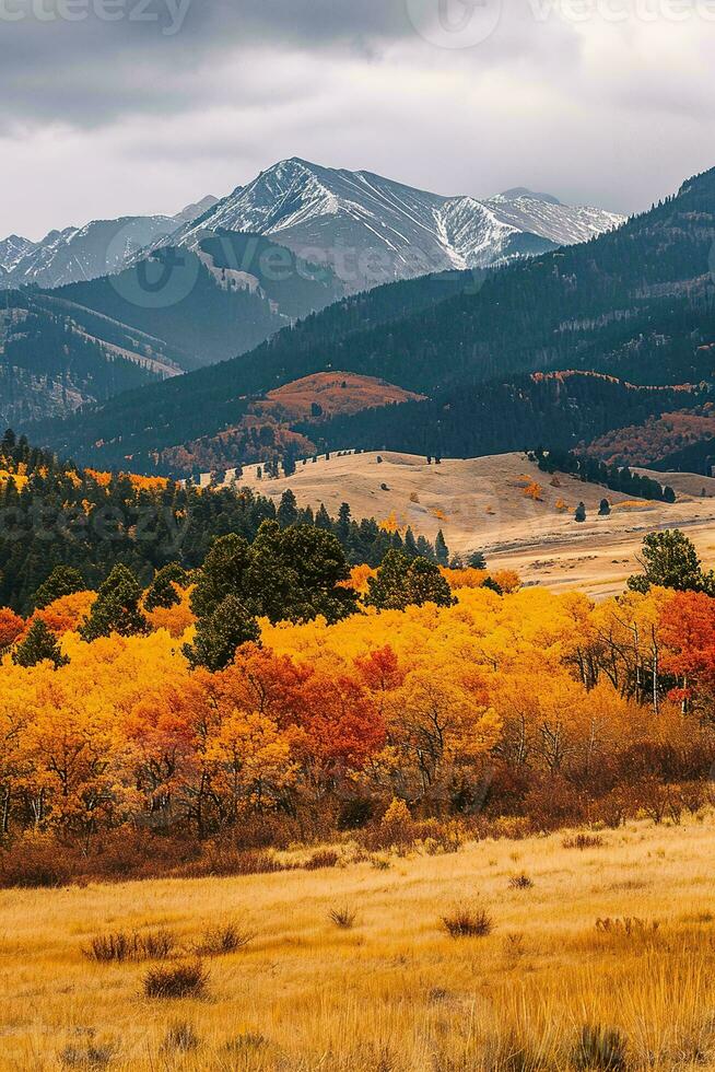 AI generated Vibrant autumn colors in forest, snow-capped peaks background, overcast atmosphere, serene nature view. photo