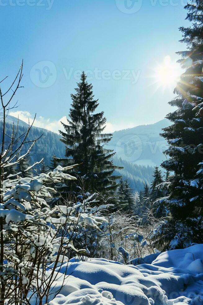 AI generated Winter wonderland with snow-covered ground, towering pine trees, a radiant sun illuminating the clear blue sky and majestic mountains. photo