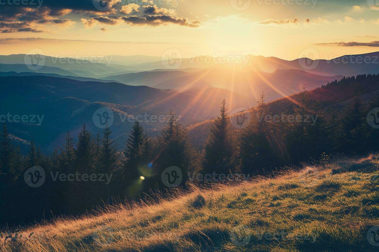 AI generated Golden sunset casts light over a serene mountain landscape, highlighting the grass and trees with a warm glow photo