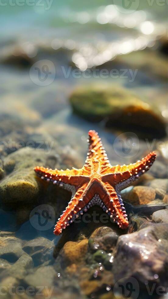 AI generated Close-up details of a starfish in a tidepool, capturing the play of sunlight on its surface, background image photo