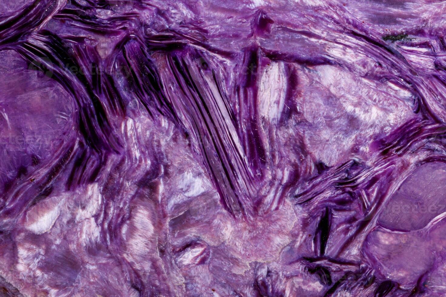 Macro stone mineral Charoite on a white background photo