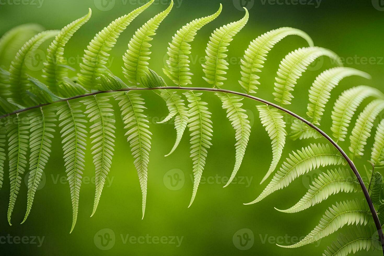 AI generated Elegance and symmetry of fern fronds as they unfurl, revealing their intricate patterns, background image, generative AI photo