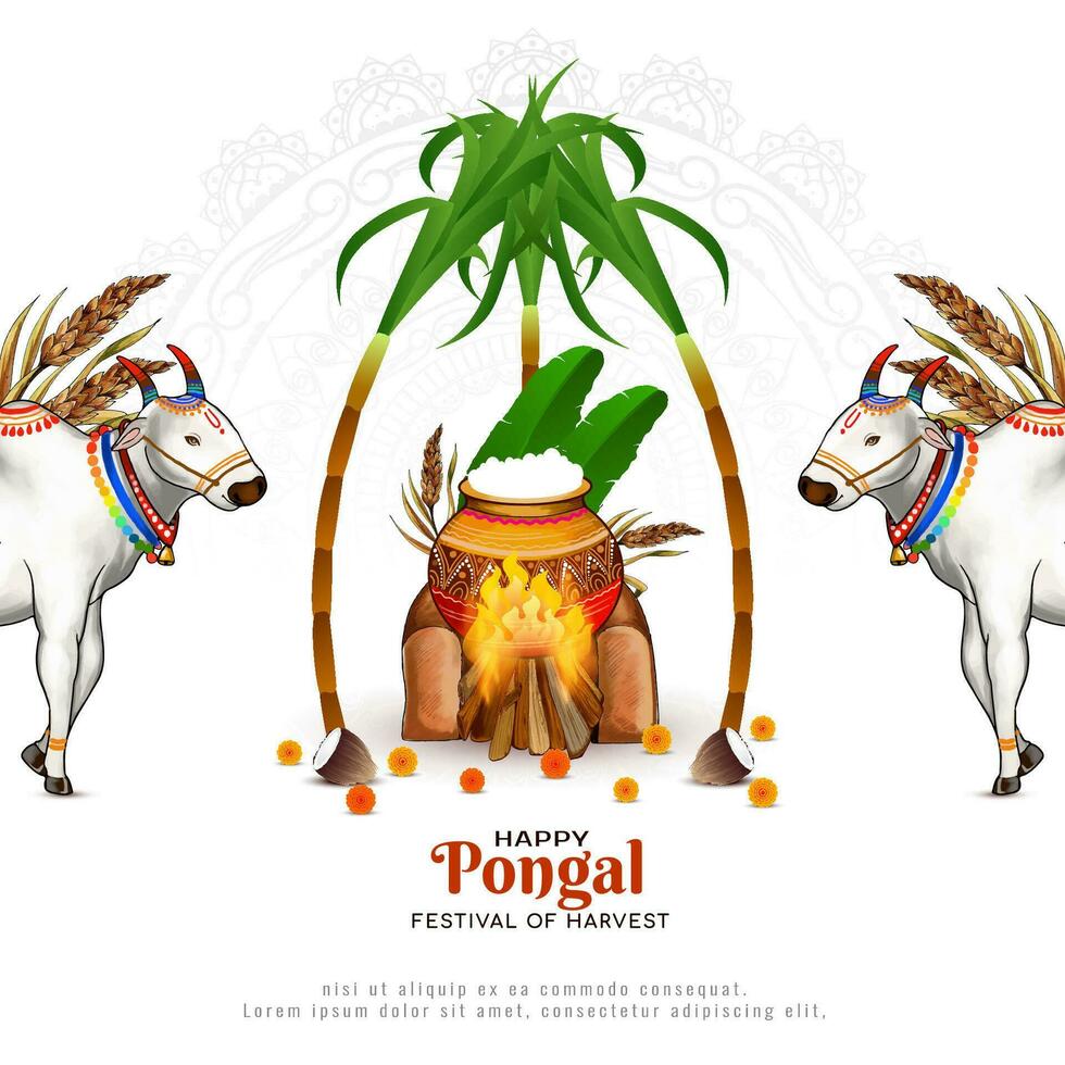 Beautiful Happy Pongal Indian festival celebration background design vector