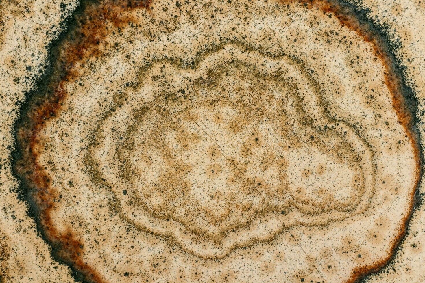 Macro stone mineral Datolite-wollastonite Scarn on a black background photo