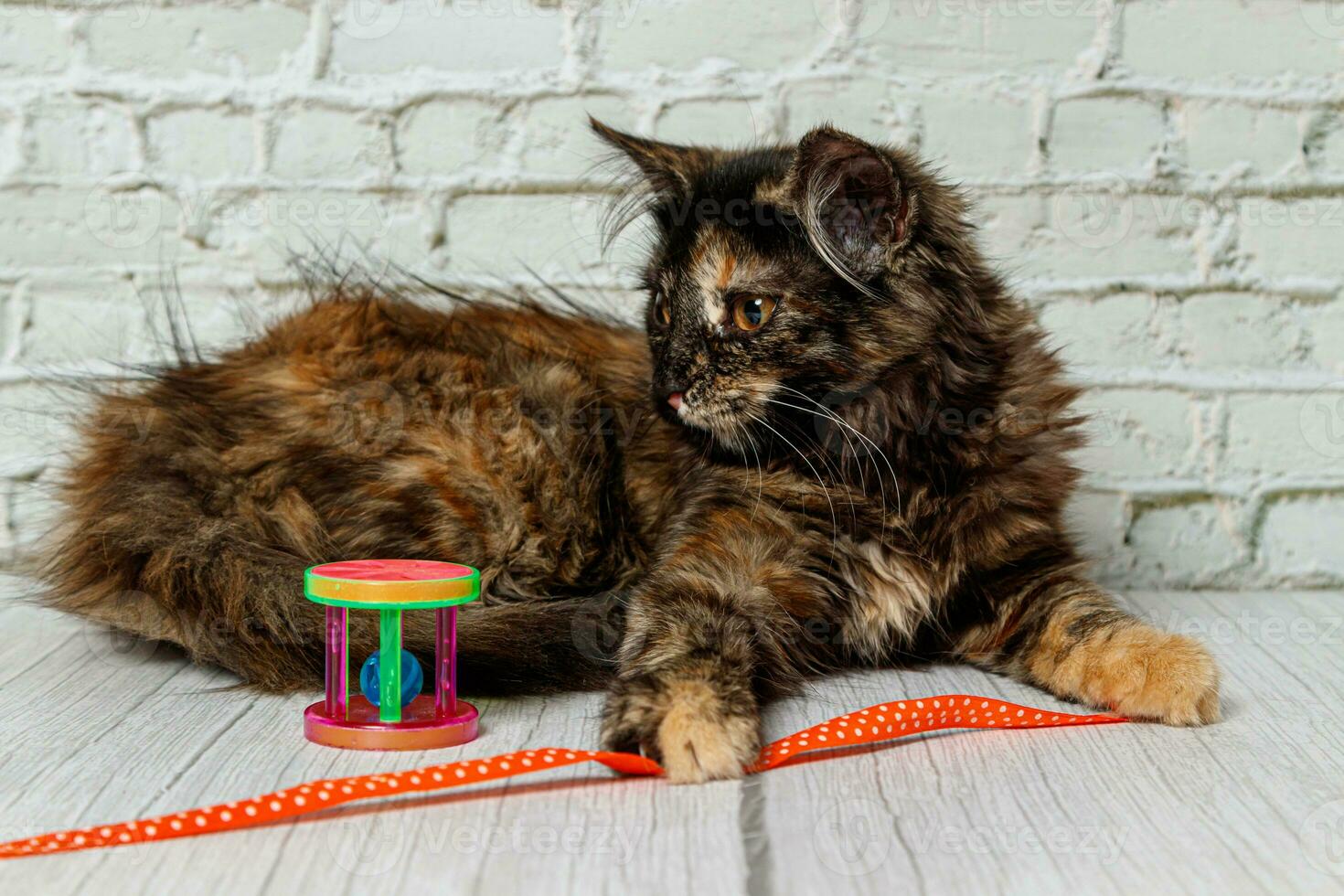 Beautiful little cat girl on a background of a brick wall photo