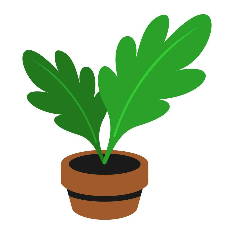 Ornamental plants grow naturally in brown pots vector