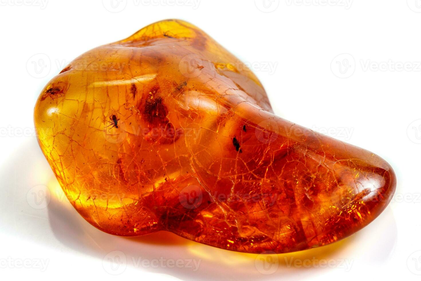 Macro stone mineral amber with insects, flies and beetles on a white background close up photo