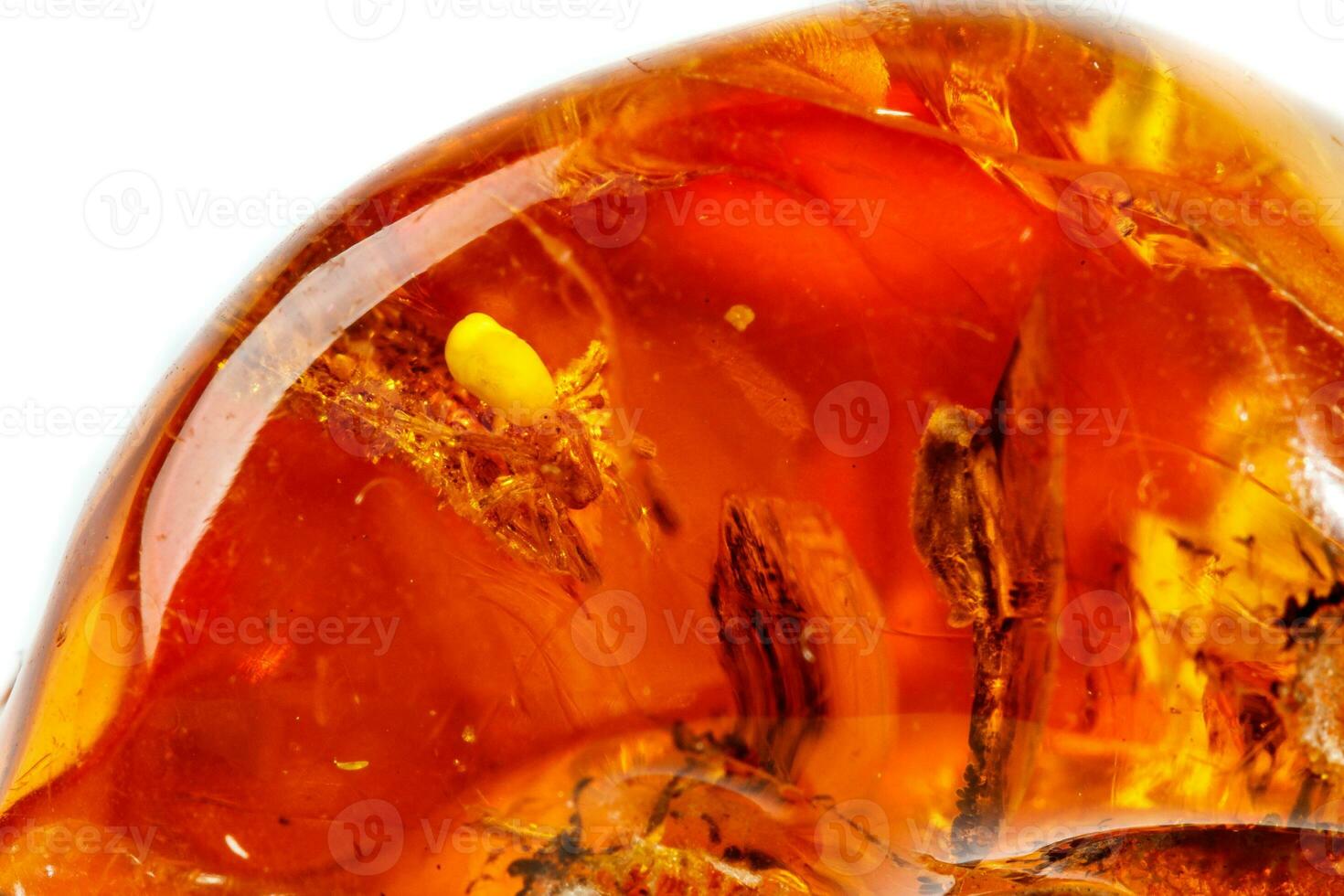 Macro Amber mineral stone with spider on white background photo