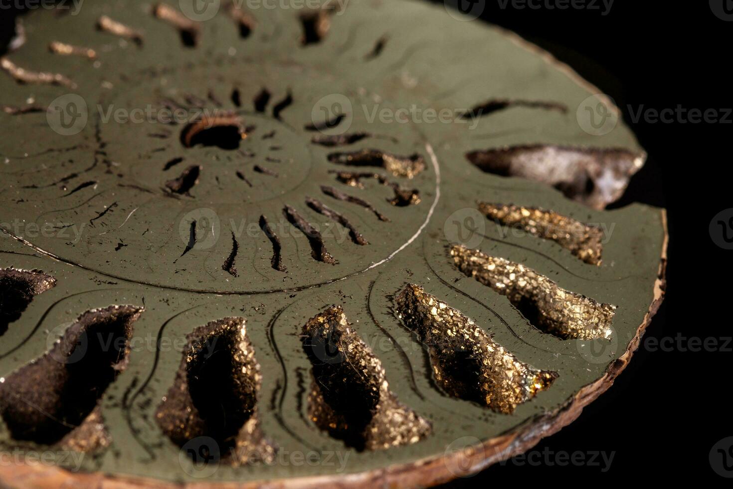 Macro mineral stone Ammonite shell on a black background photo