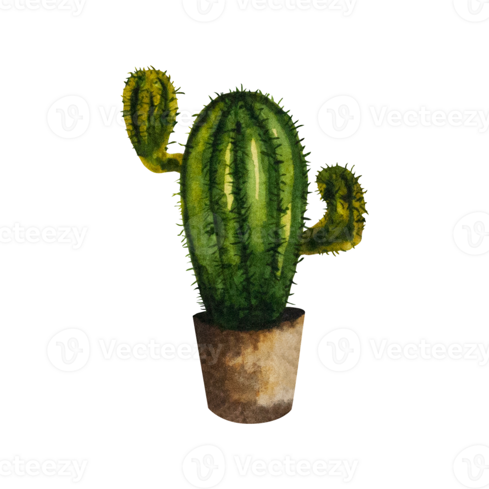 waterverf illustratie van een cactus in een bruin pot. eigengemaakt groen bloem met naalden. de illustratie is getrokken door hand. kan worden gebruikt voor uw ontwerp kaarten, stickers, scrapbooken, affiches, prints png