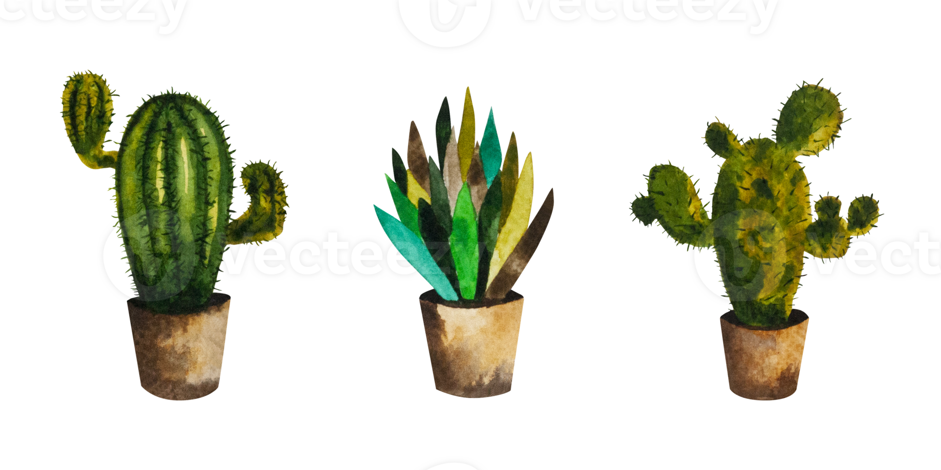 Watercolor illustration of a cactus in a brown pot. Homemade green flower with needles and leaves. The illustration is drawn by hand. Can be used for your design cards, stickers, scrapbooking, prints png