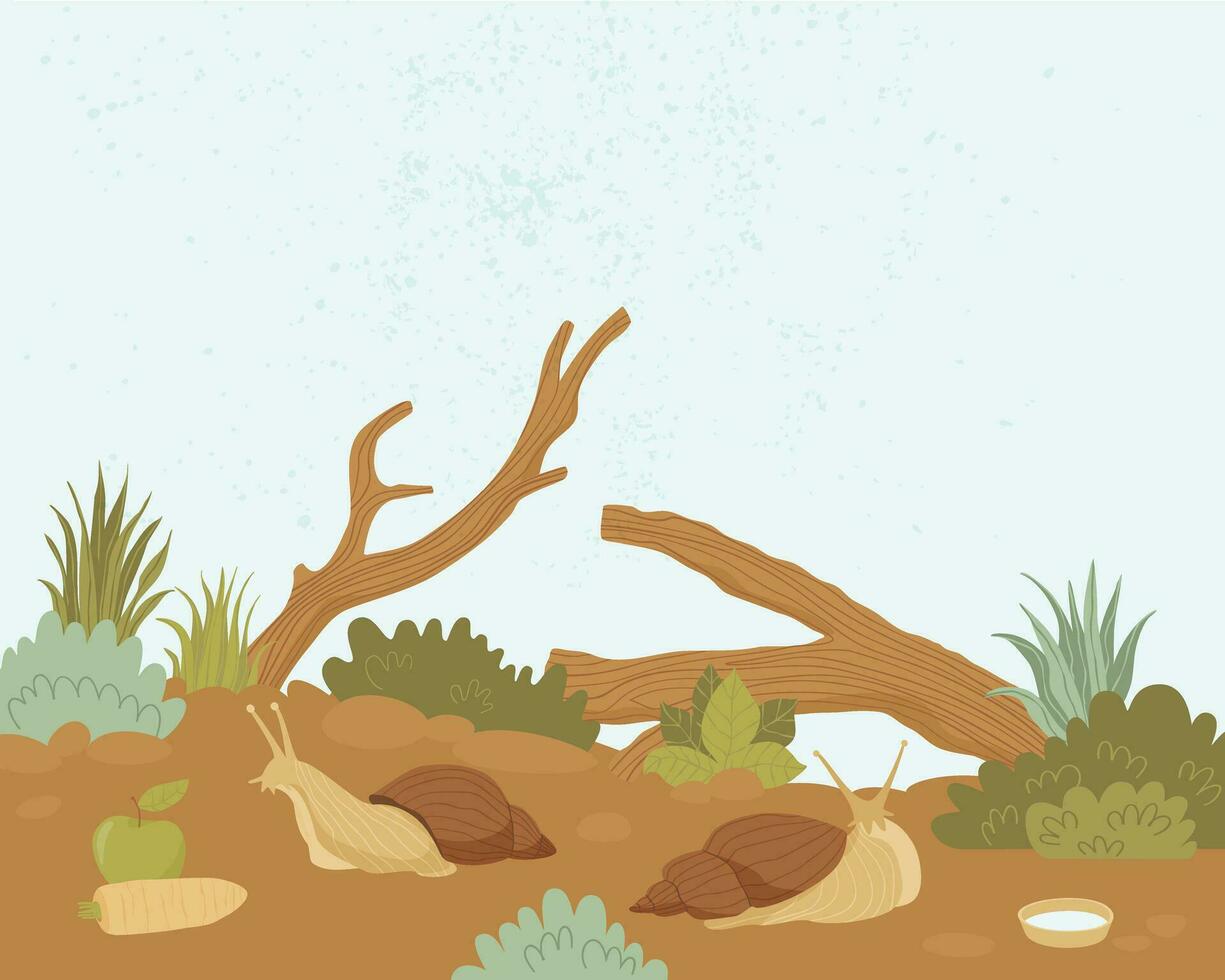 Two domestic snails crawling in the home garden vector