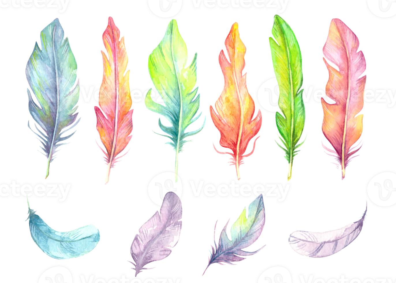 Hand painted watercolor bird feathers set, close up isolated on transparent background. Art scrapbook element, sketch, hand drawn png