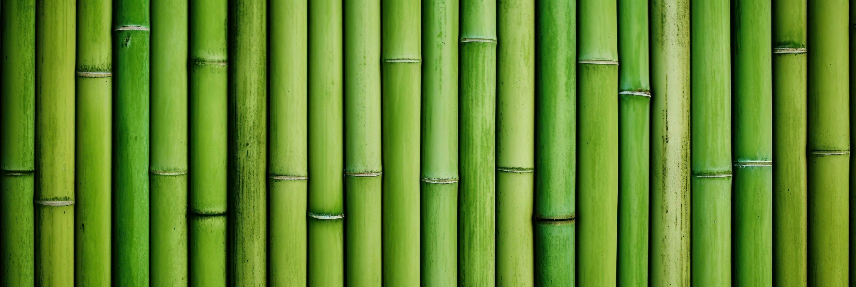 AI generated Green bamboo texture for interior or exterior design, bamboo fence texture background. photo