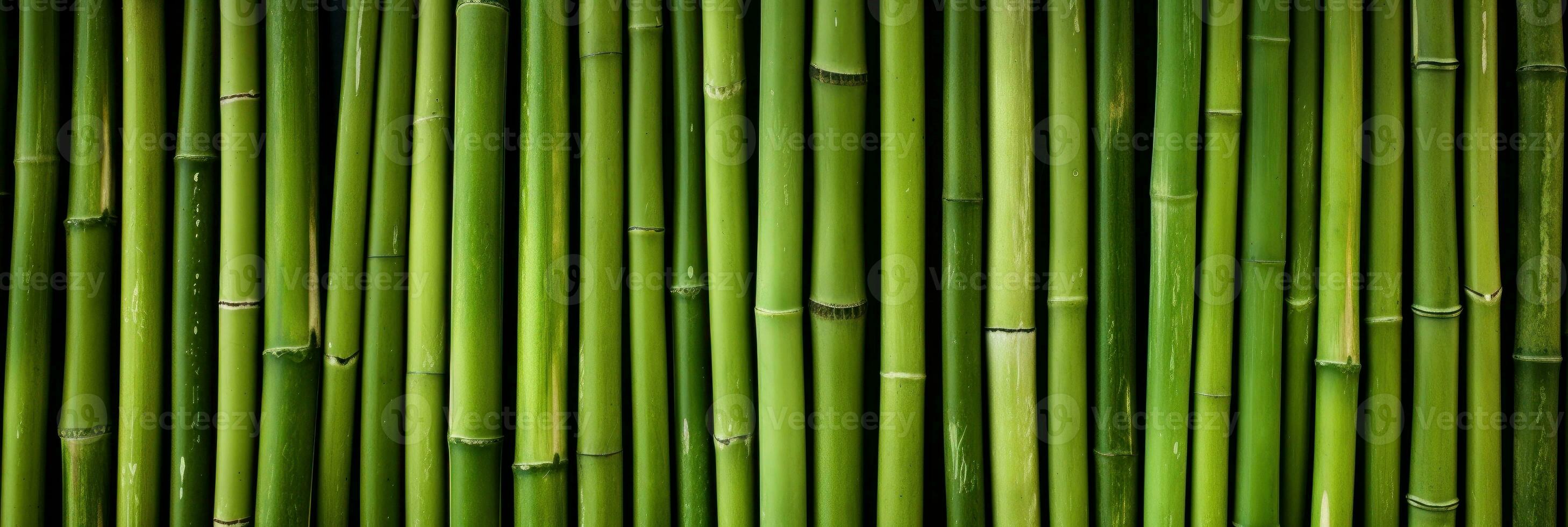 AI generated Green bamboo texture for interior or exterior design, bamboo fence texture background. photo